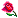 20c503a5.gif